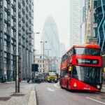 Everything You Wanted to Know About mega city&rsquo;s